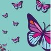 rjbutterfly